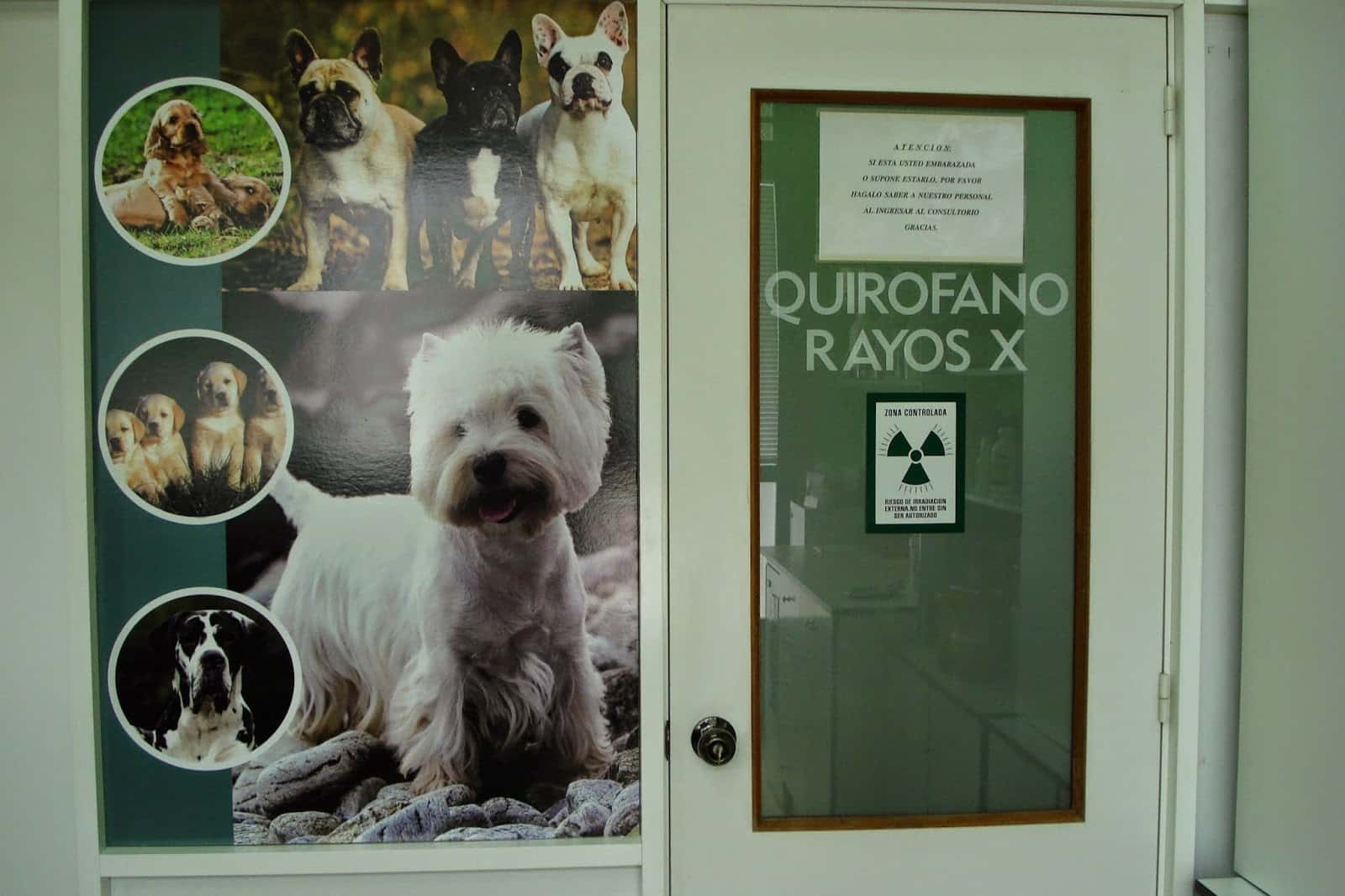 Clínica Veterinaria Dos Regos