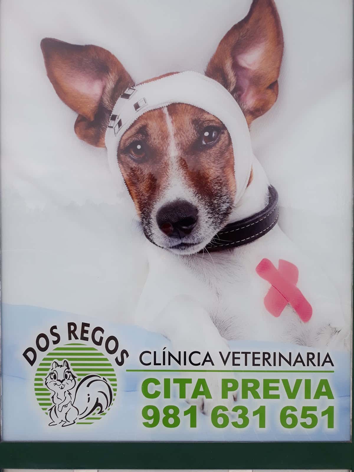 Clínica Veterinaria Dos Regos