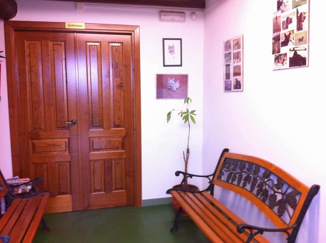 Clinica Veterinaria Africa