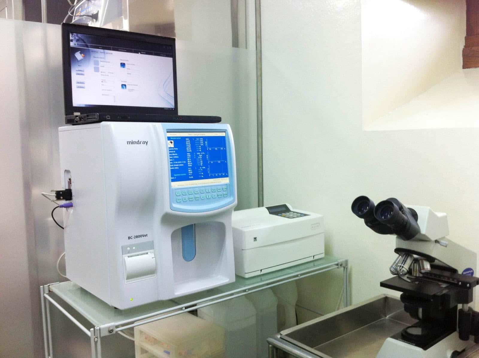 Clinica Veterinaria Africa