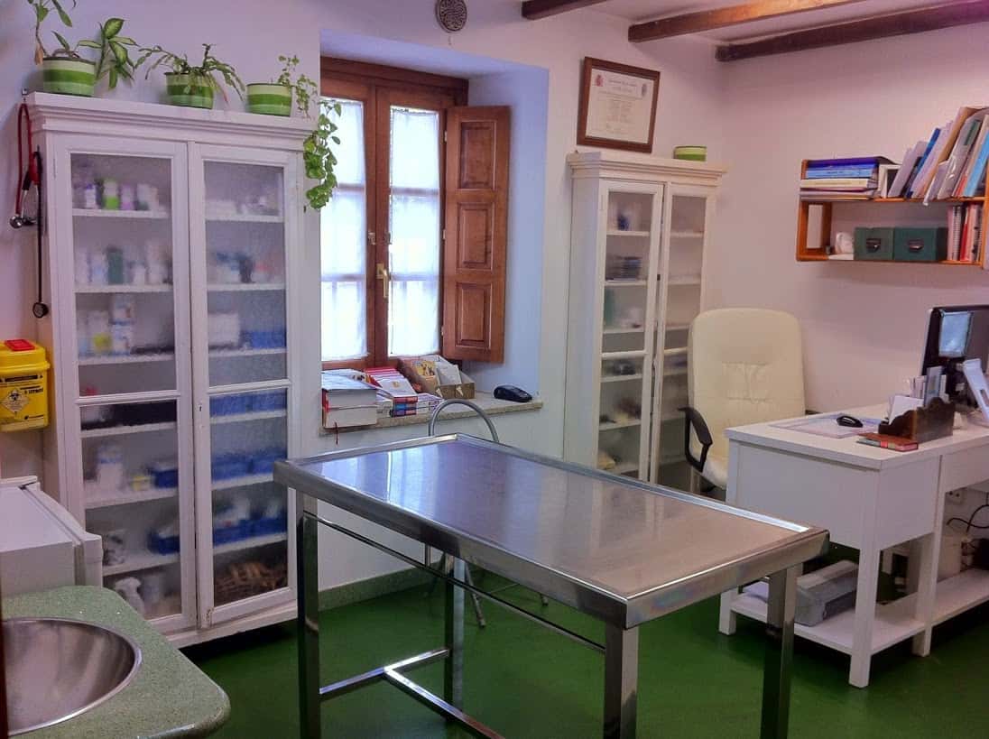 clinica veterinaria africa veterinario clinica en oleiros en la coruna principalImage ADOPTA Sitios Pet Friendly