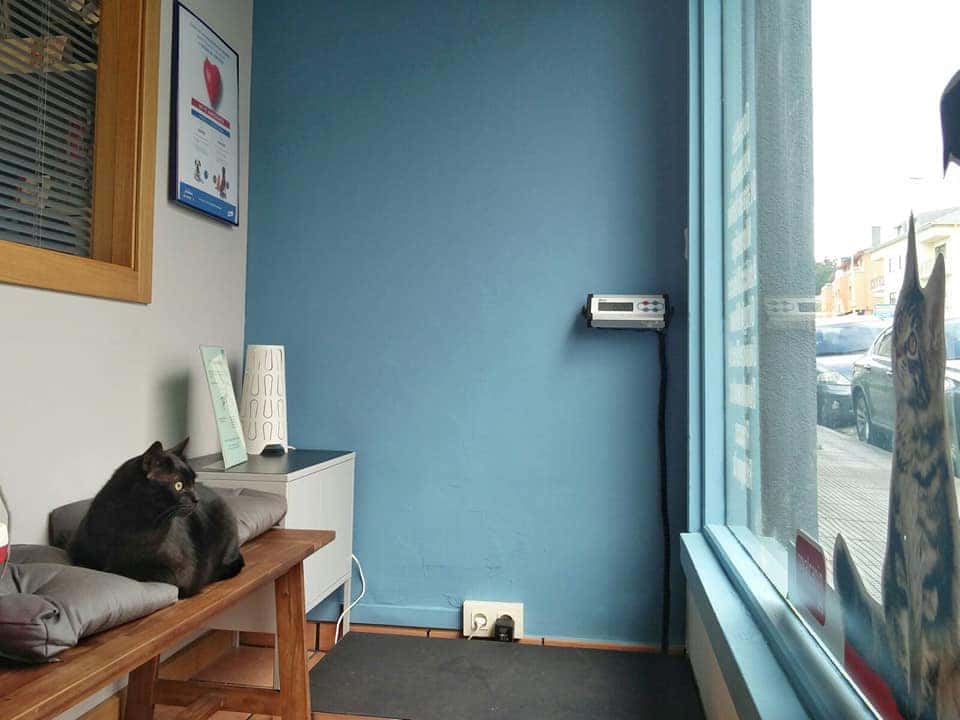 Centro Veterinario Guísamo