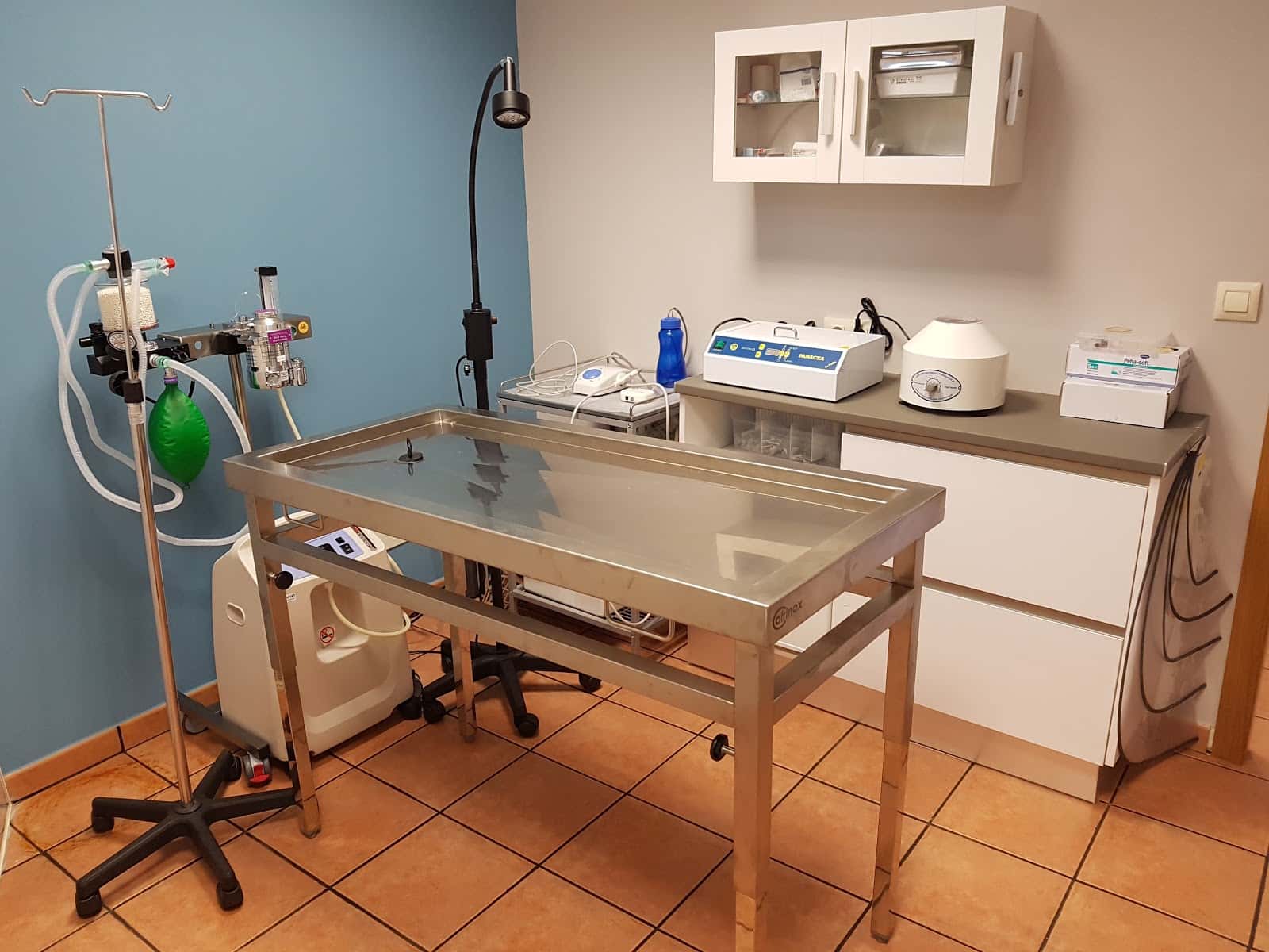 centro veterinario guisamo veterinario centro en guisamo en la coruna principalImage ADOPTA Sitios Pet Friendly