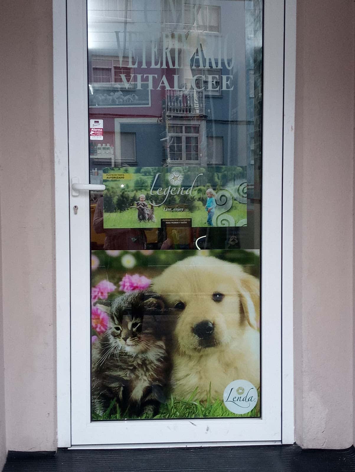 vital cee centro veterinario veterinario centro en cee en la coruna principalImage ADOPTA Sitios Pet Friendly