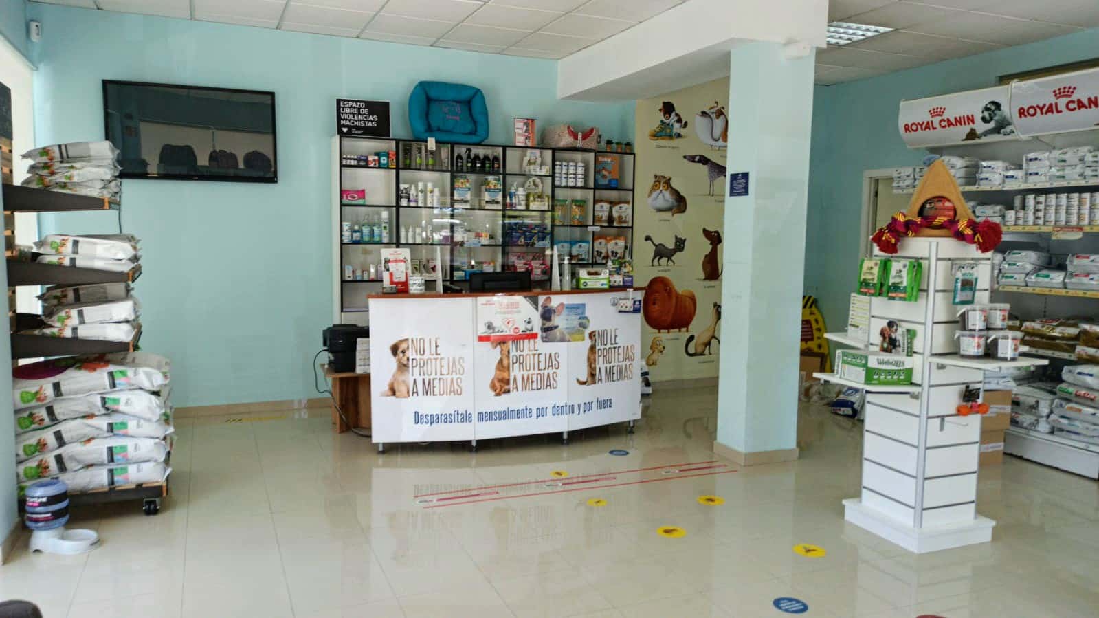 clinica veterinaria san miguel vilagarcia veterinario clinica en vilagarcia de arousa en pontevedra principalImage ADOPTA Sitios Pet Friendly