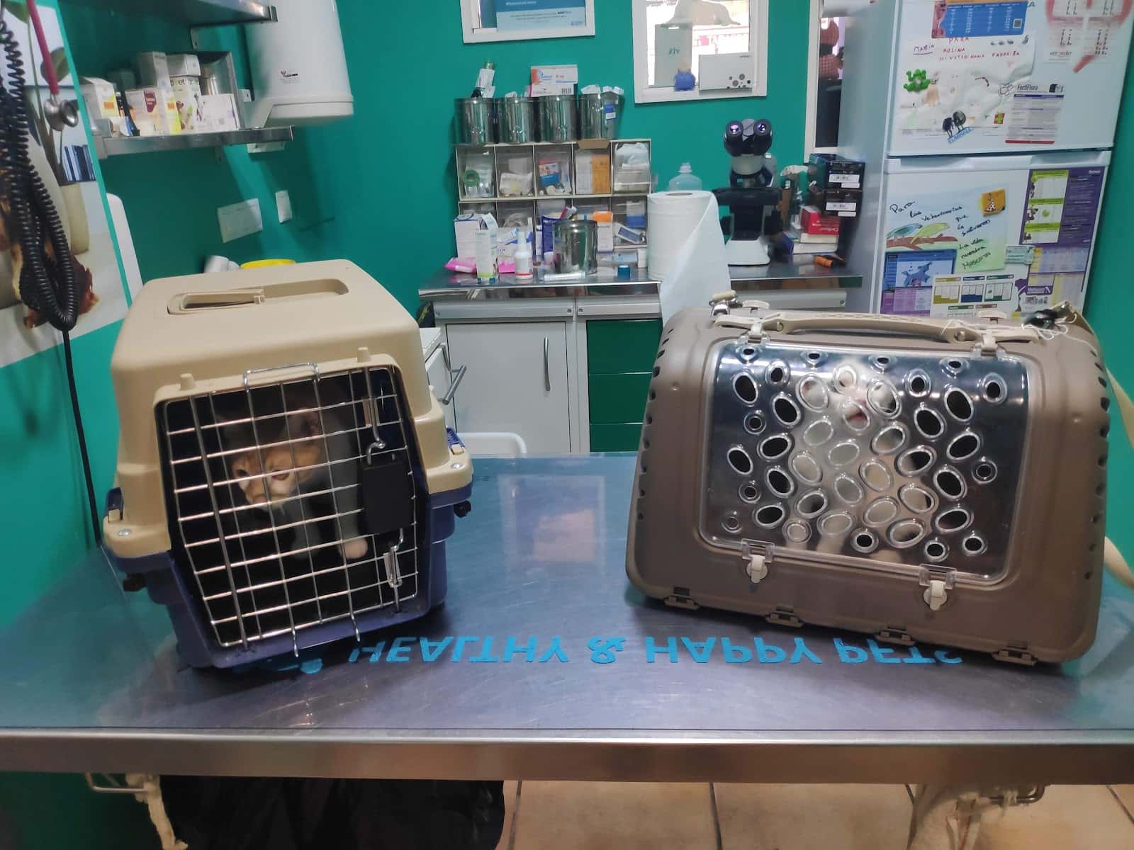 Centro Veterinario Carril