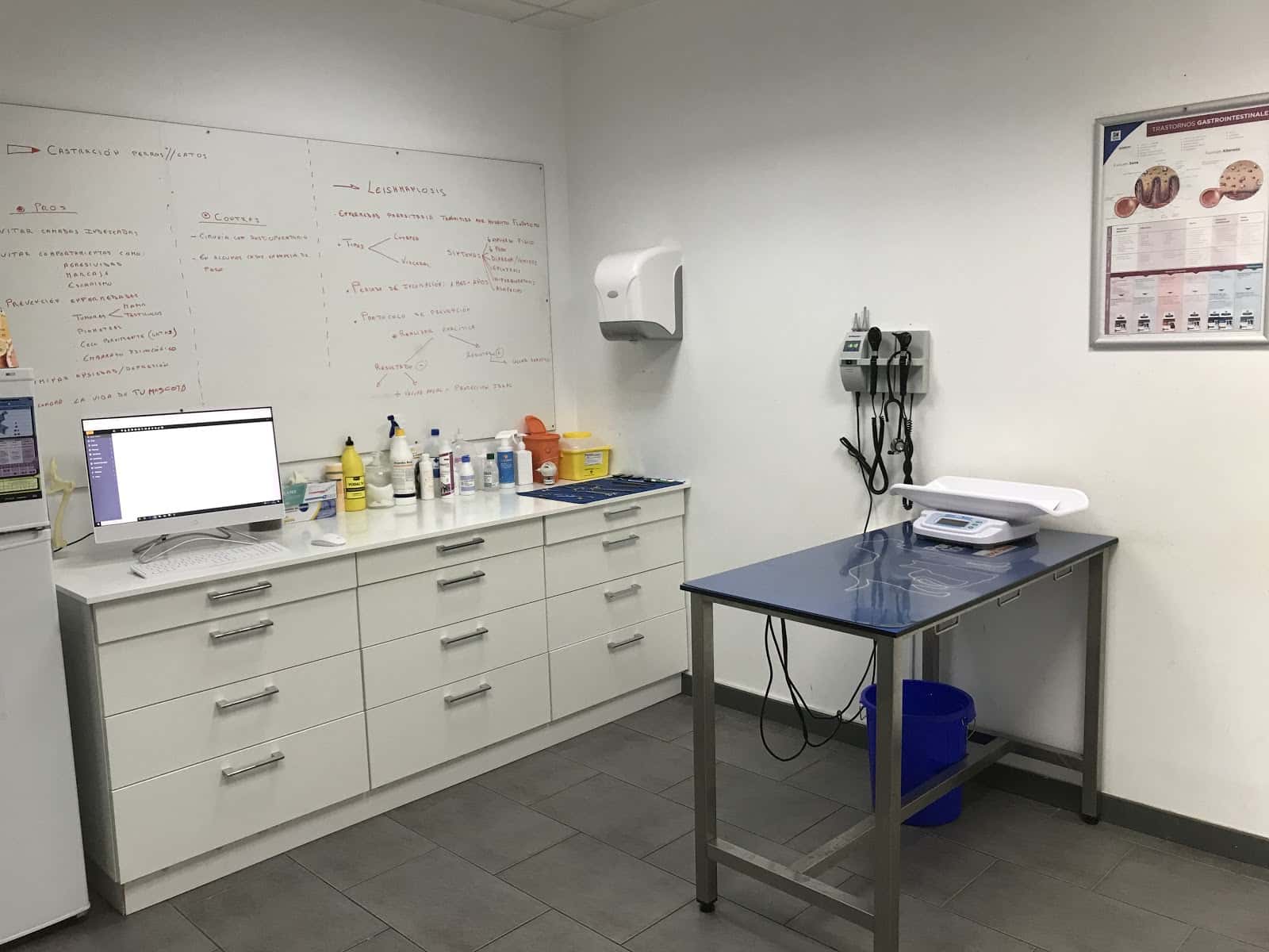 Consulta veterinaria La Tafona
