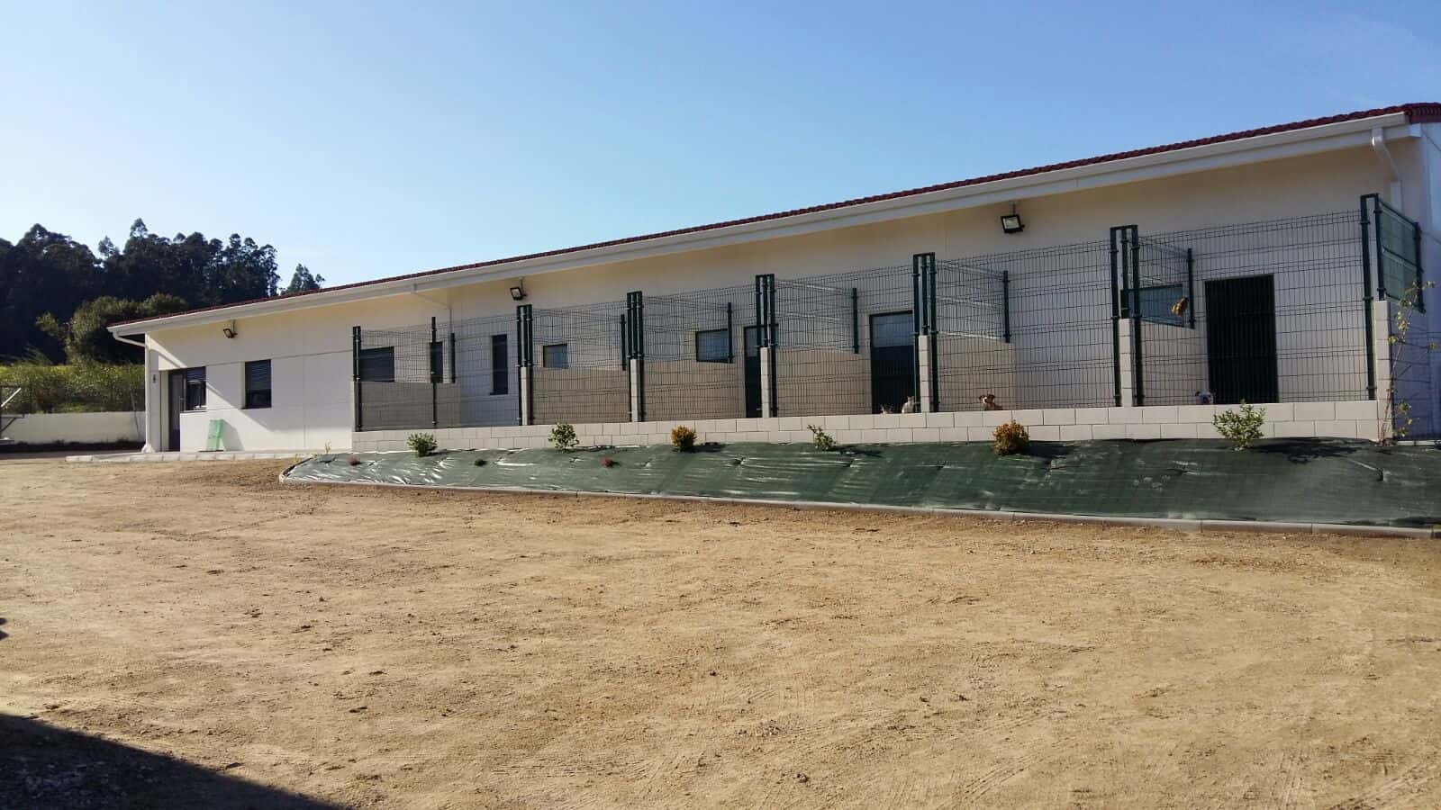 Brincan Residencia Canina y Adiestramiento
