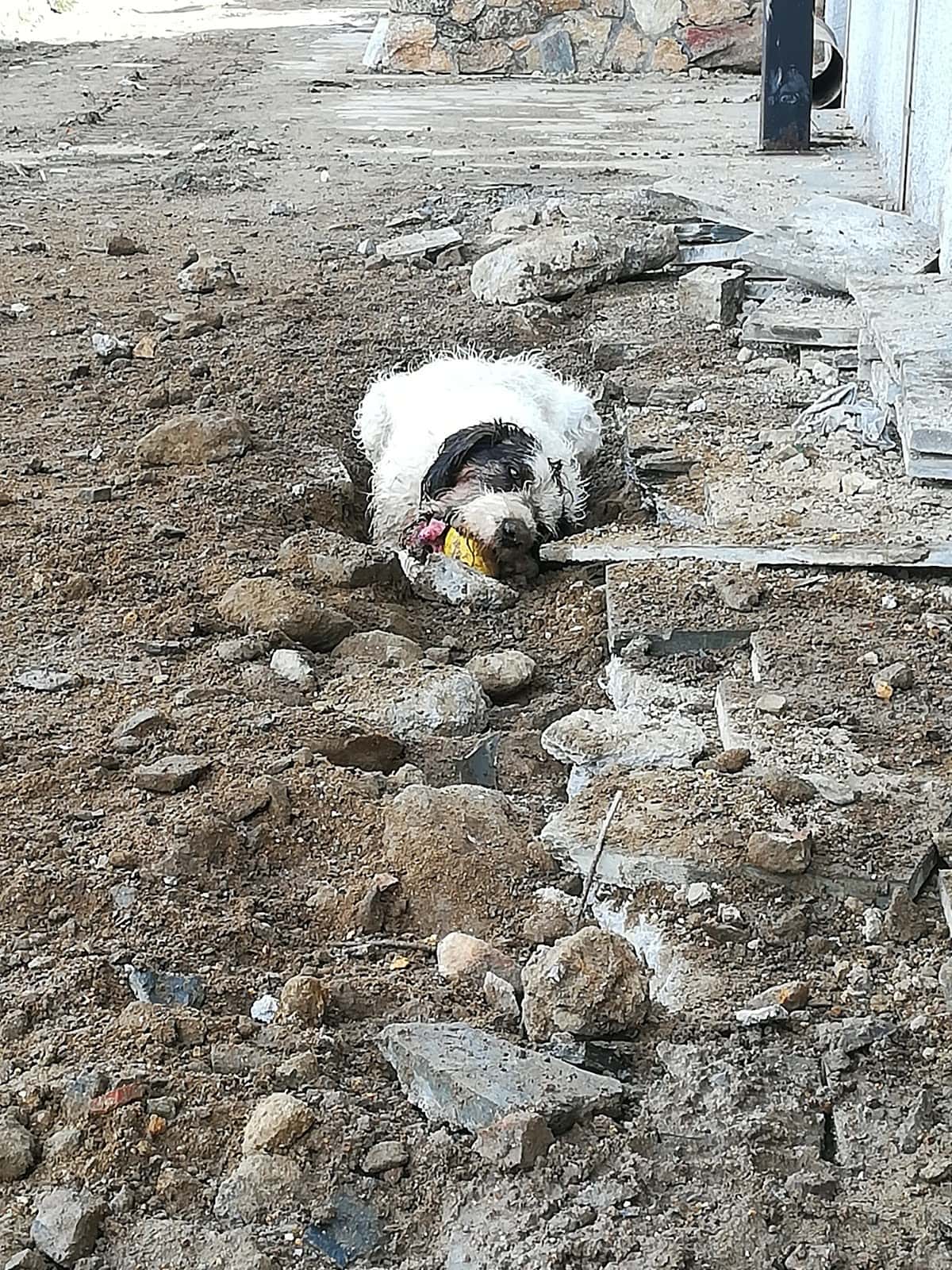 Centro Veterinario Rianxo