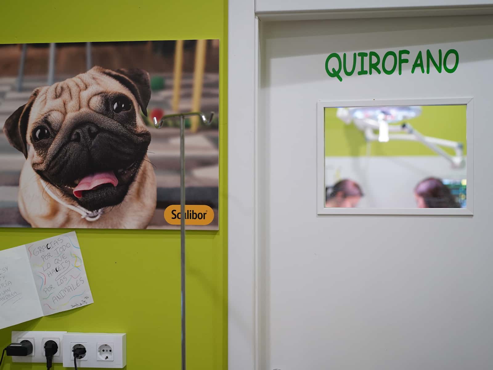 centro veterinario los duranes veterinario centro en vilagarcia de arousa en pontevedra principalImage ADOPTA Sitios Pet Friendly