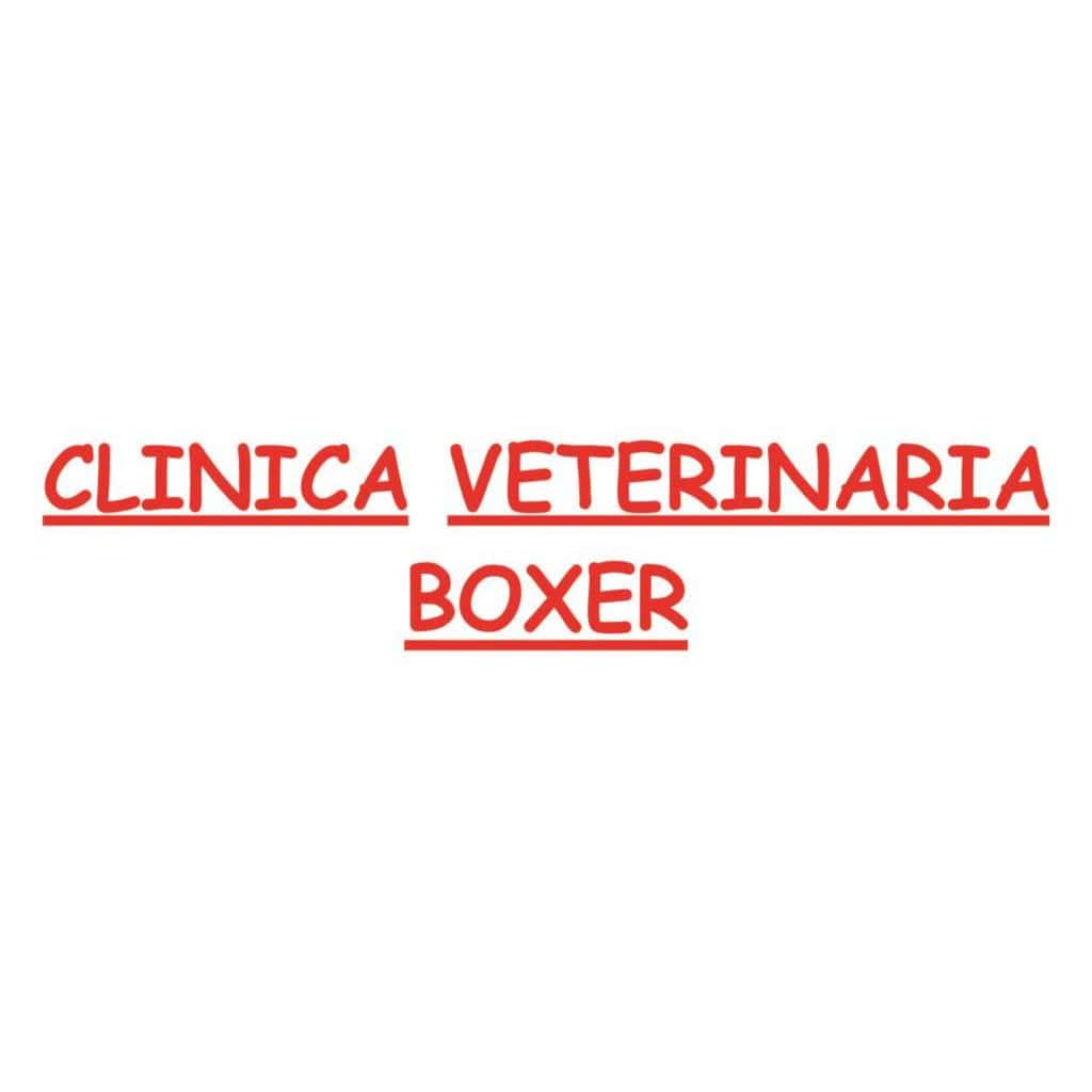 Clinica Veterinaria Boxer