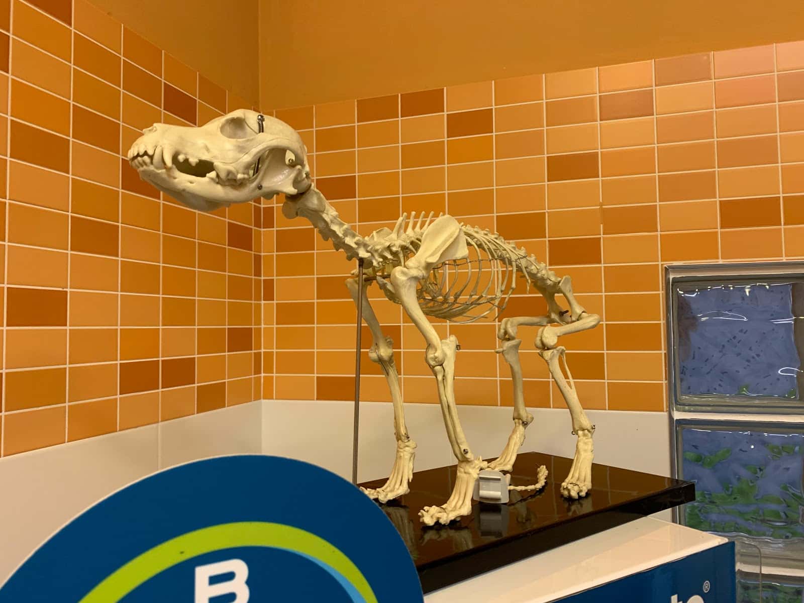 Centro Veterinario A Marosa Verxeles