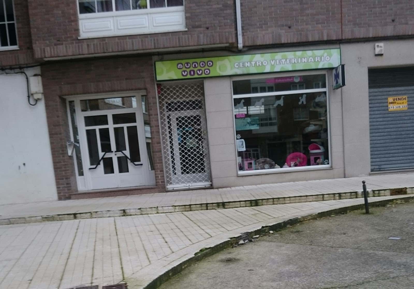 centro veterinario mundo vivo veterinario centro en bertamirans en a coruna principalImage ADOPTA Sitios Pet Friendly