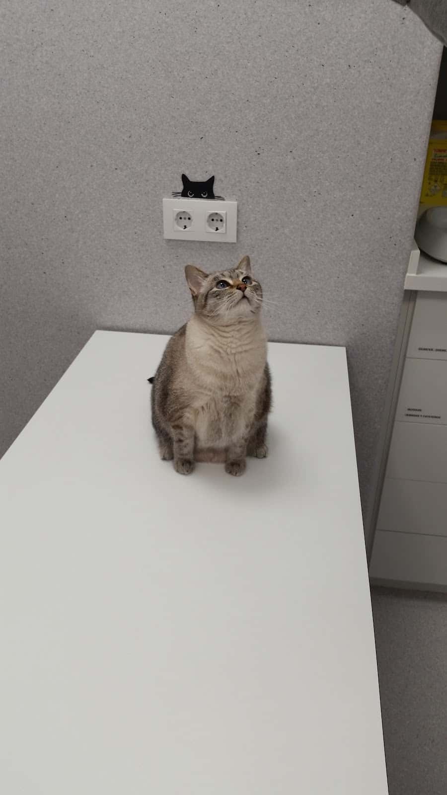 Clinica Veterinaria Saudevet