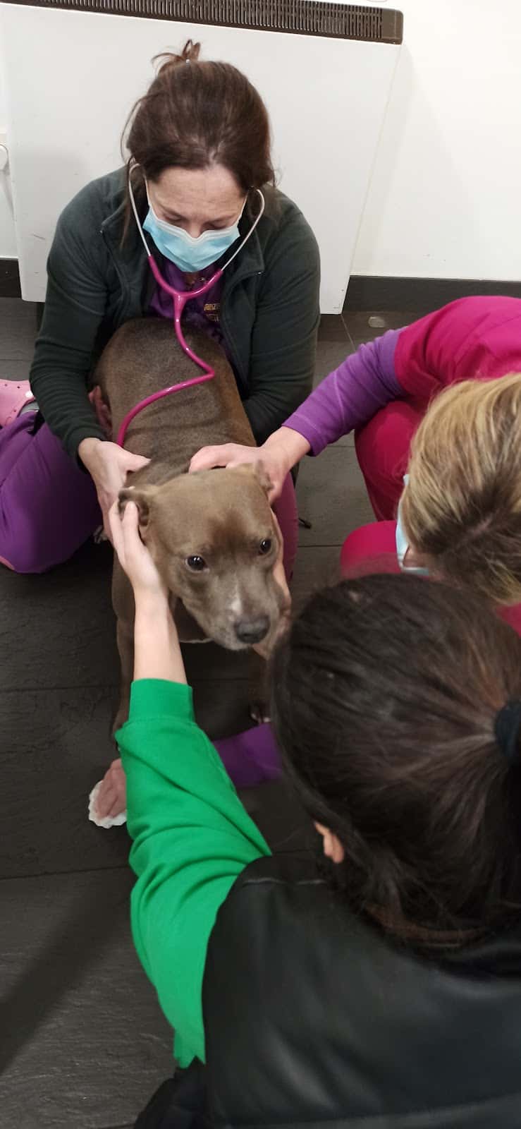 CLINICA VETERINARIA SOMAZA PEREZ SLP