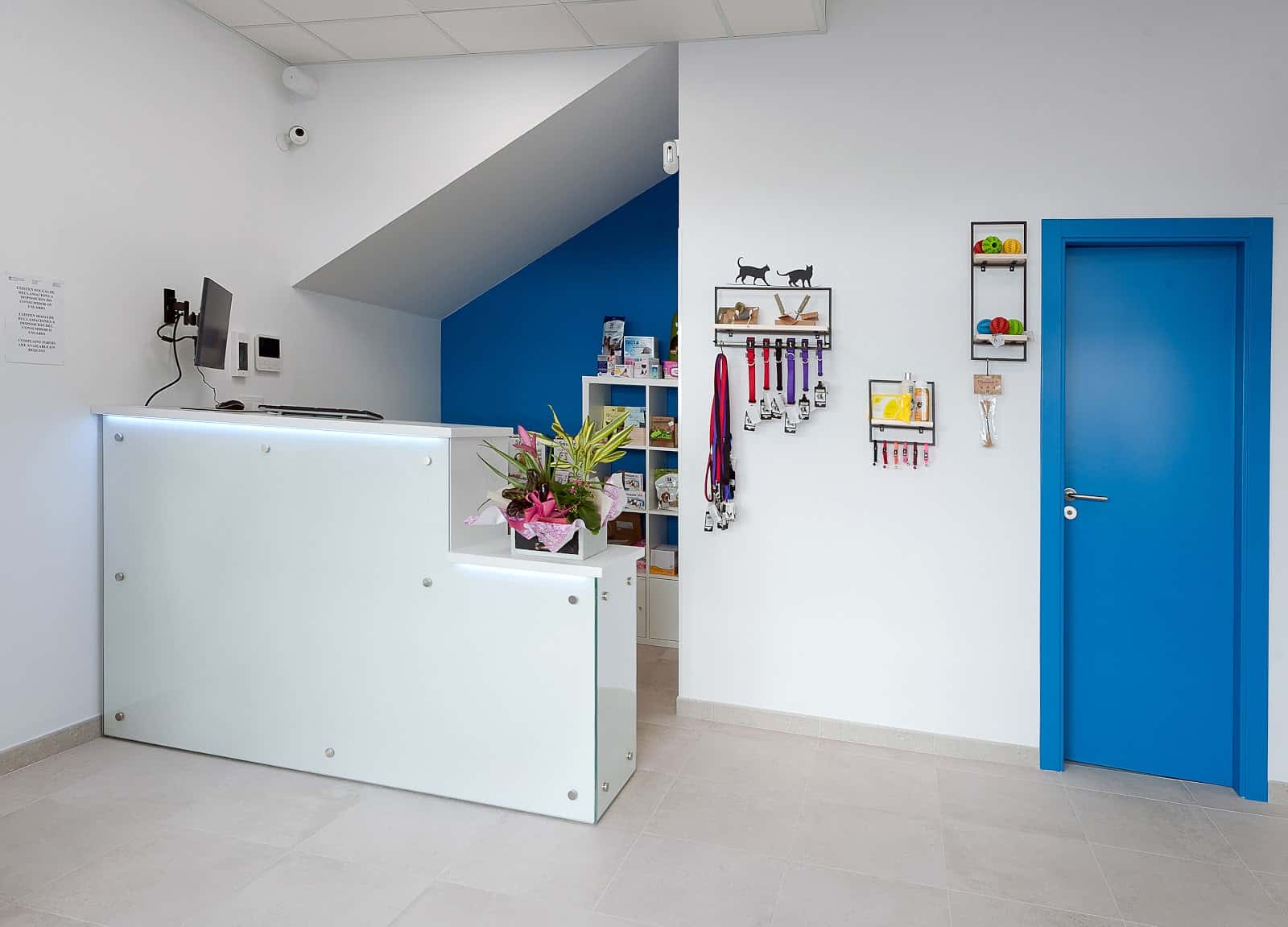 Centro Veterinario Esteiro