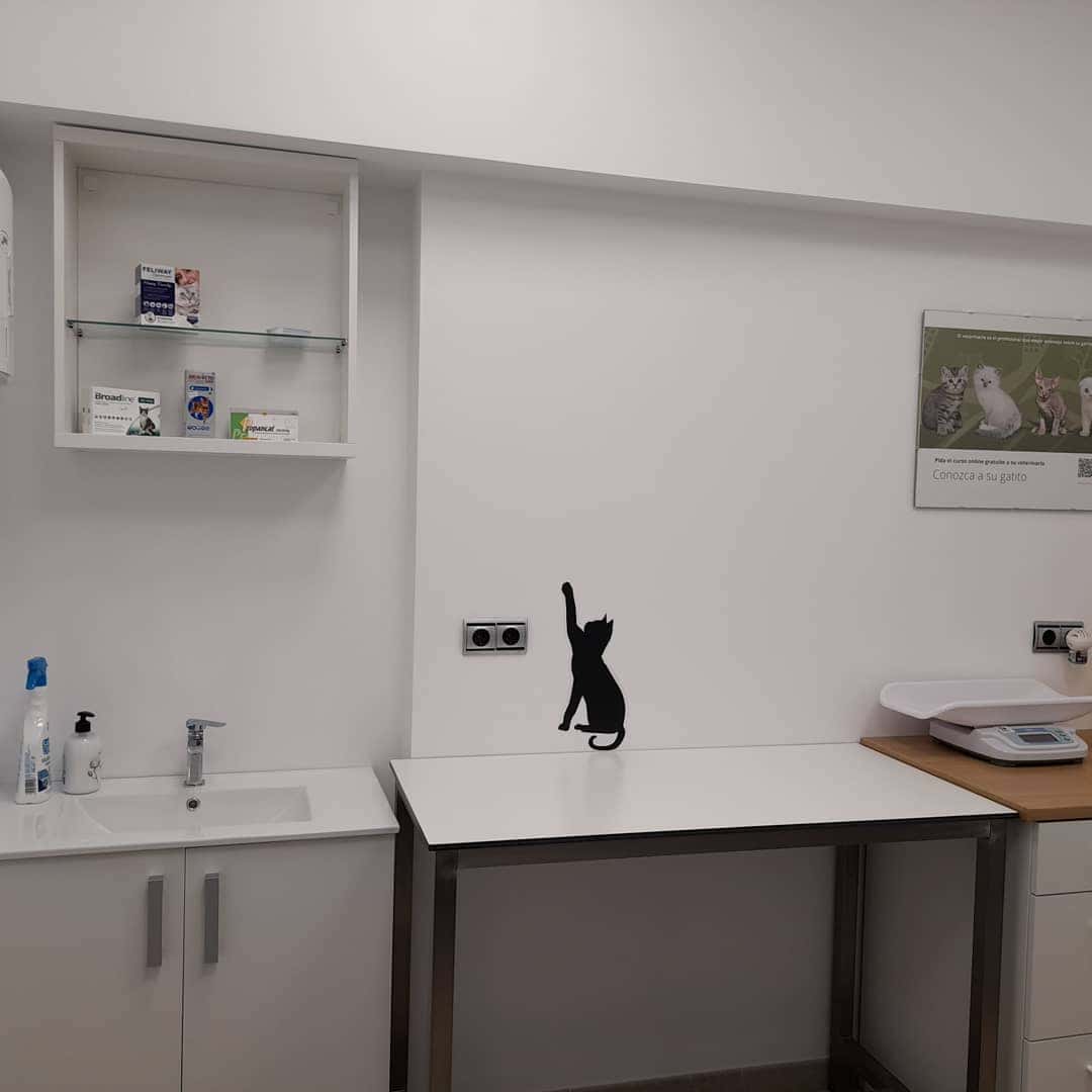 Centro Veterinario Esteiro