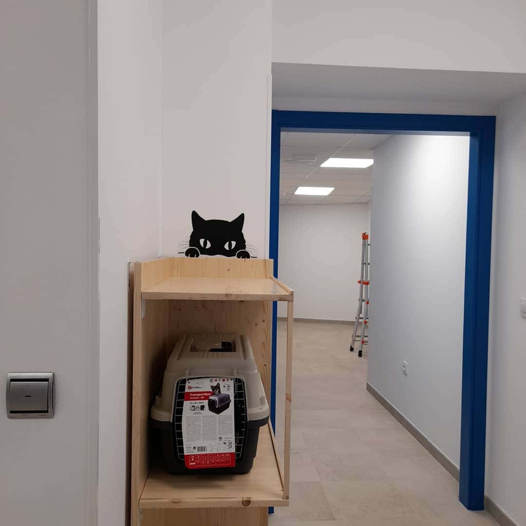Centro Veterinario Esteiro