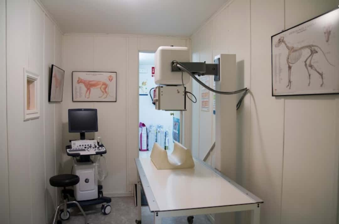 Clínica Veterinaria Vilanova