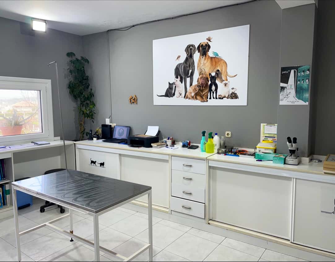 clinica carmelo veterinario clinica en leiro en pontevedra principalImage ADOPTA Sitios Pet Friendly