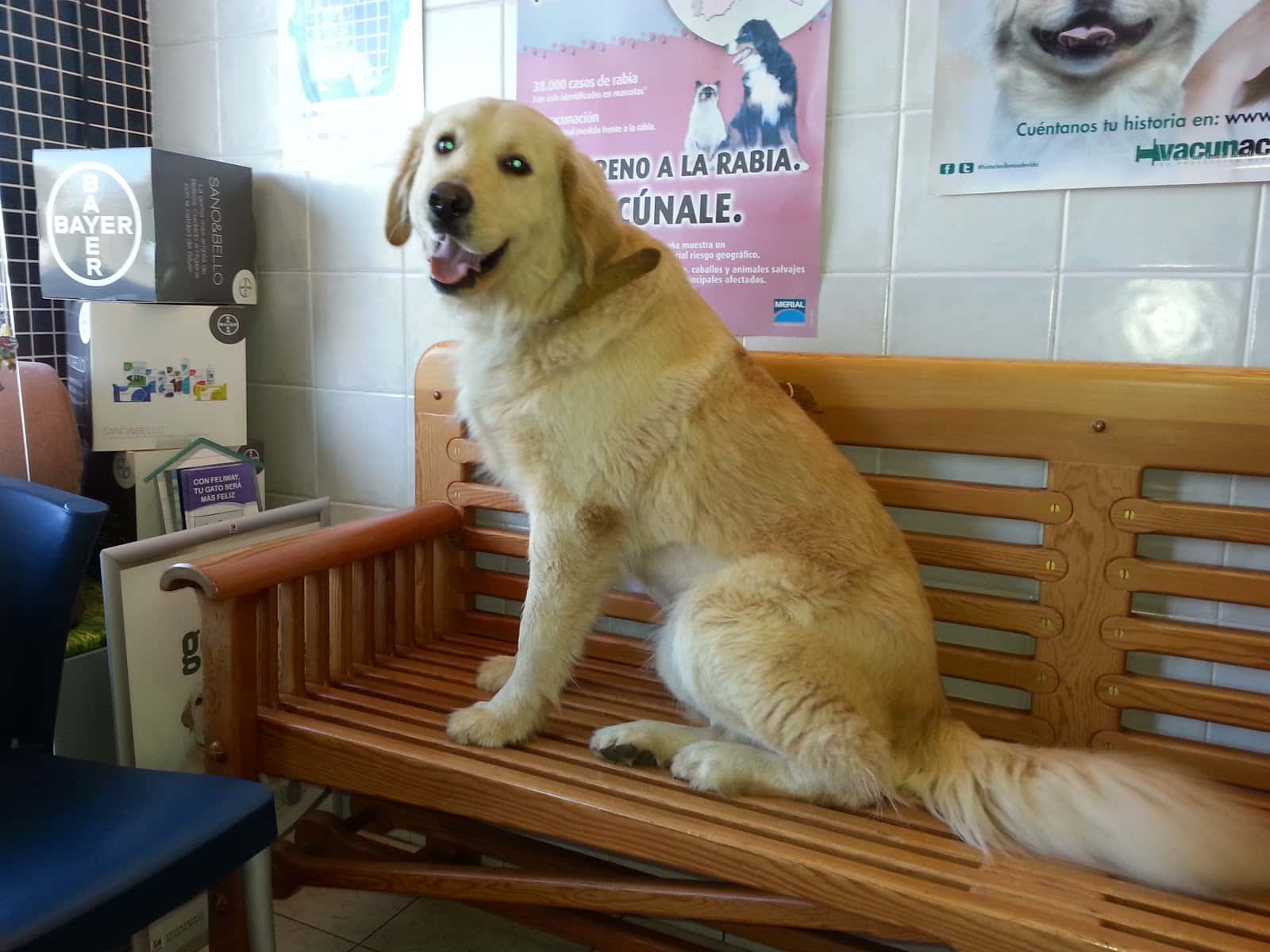 Clínica Veterinaria O Grove