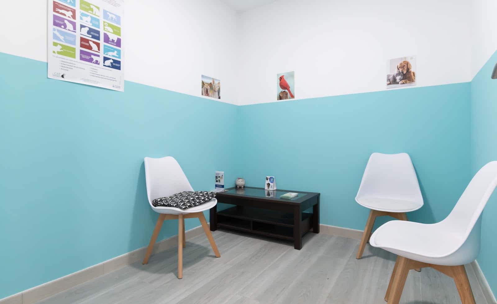 Ronroneos Clinica Veterinaria