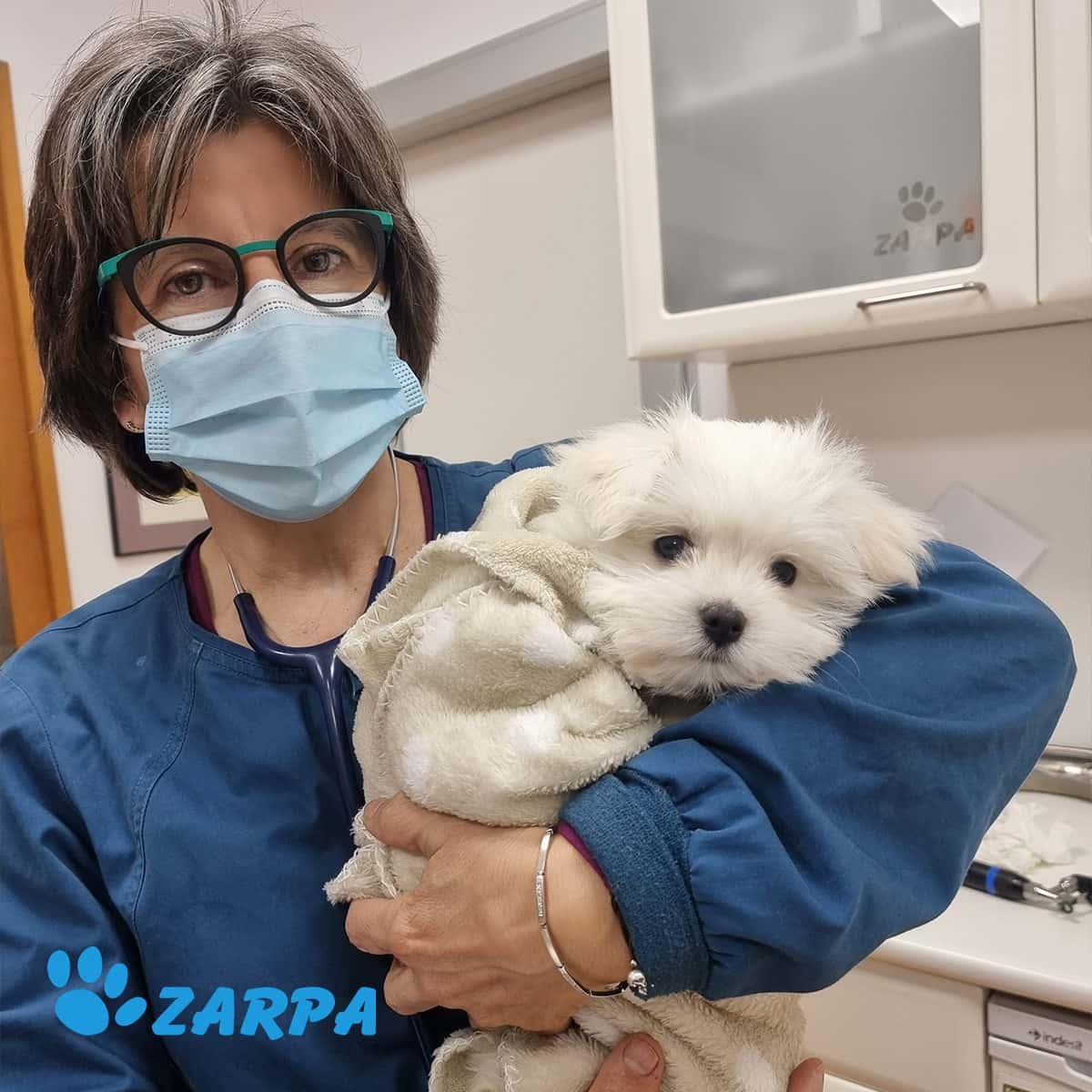 Clínica Veterinaria Zarpa