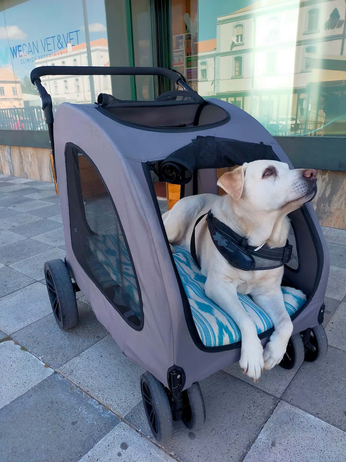 Clínica Veterinaria Wecan Vet & Vet