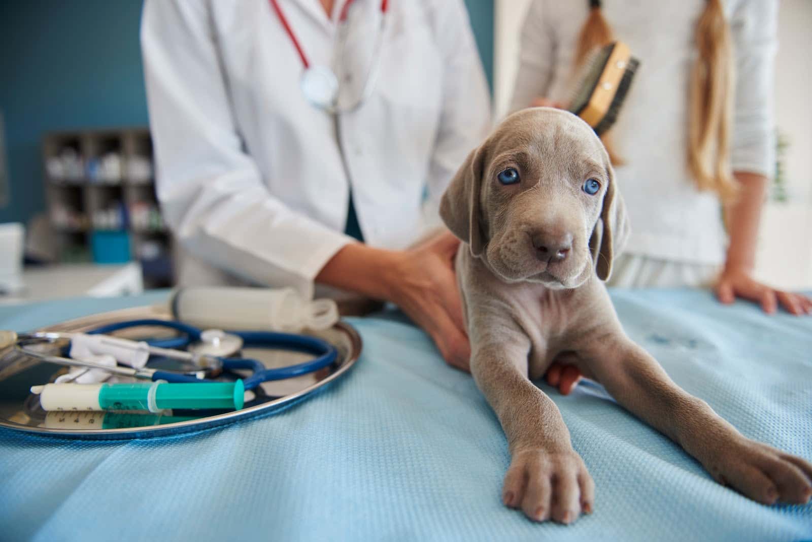 Clínica Veterinaria Albéitar