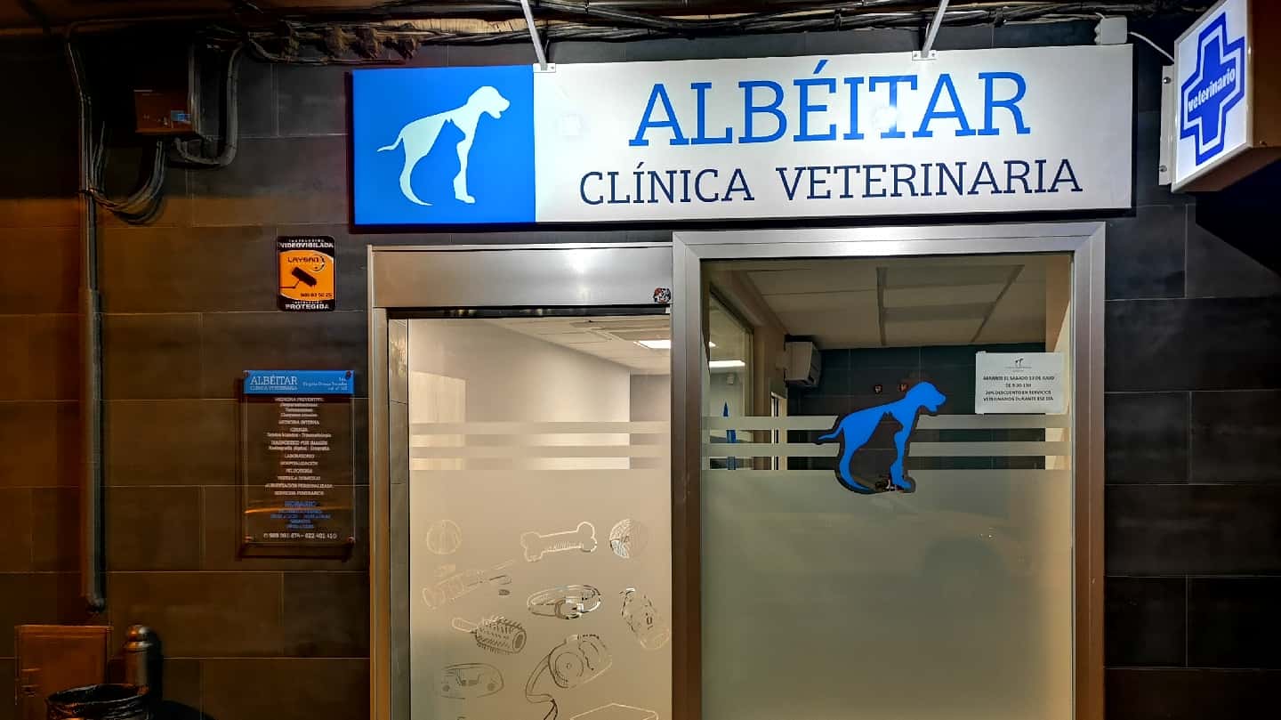 clinica veterinaria albeitar veterinario clinica barrio cuenca en cuenca en cuenca principalImage ADOPTA Sitios Pet Friendly