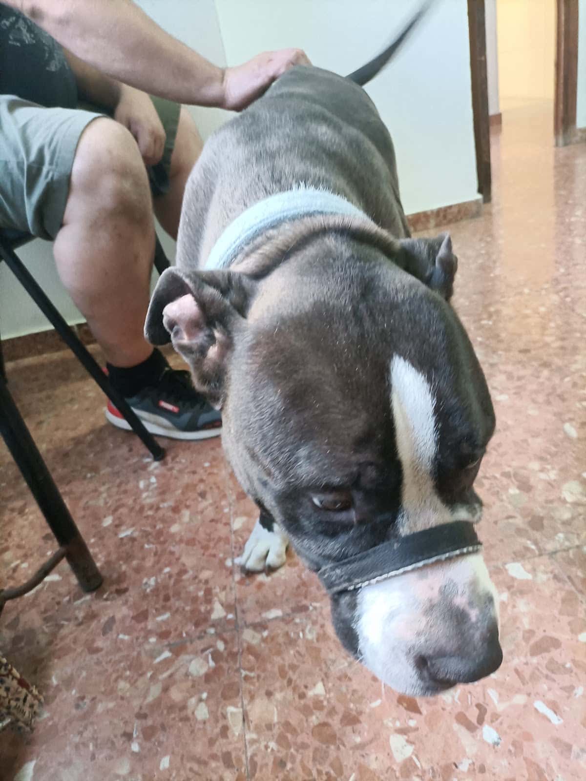 Centro Veterinario Tarancón