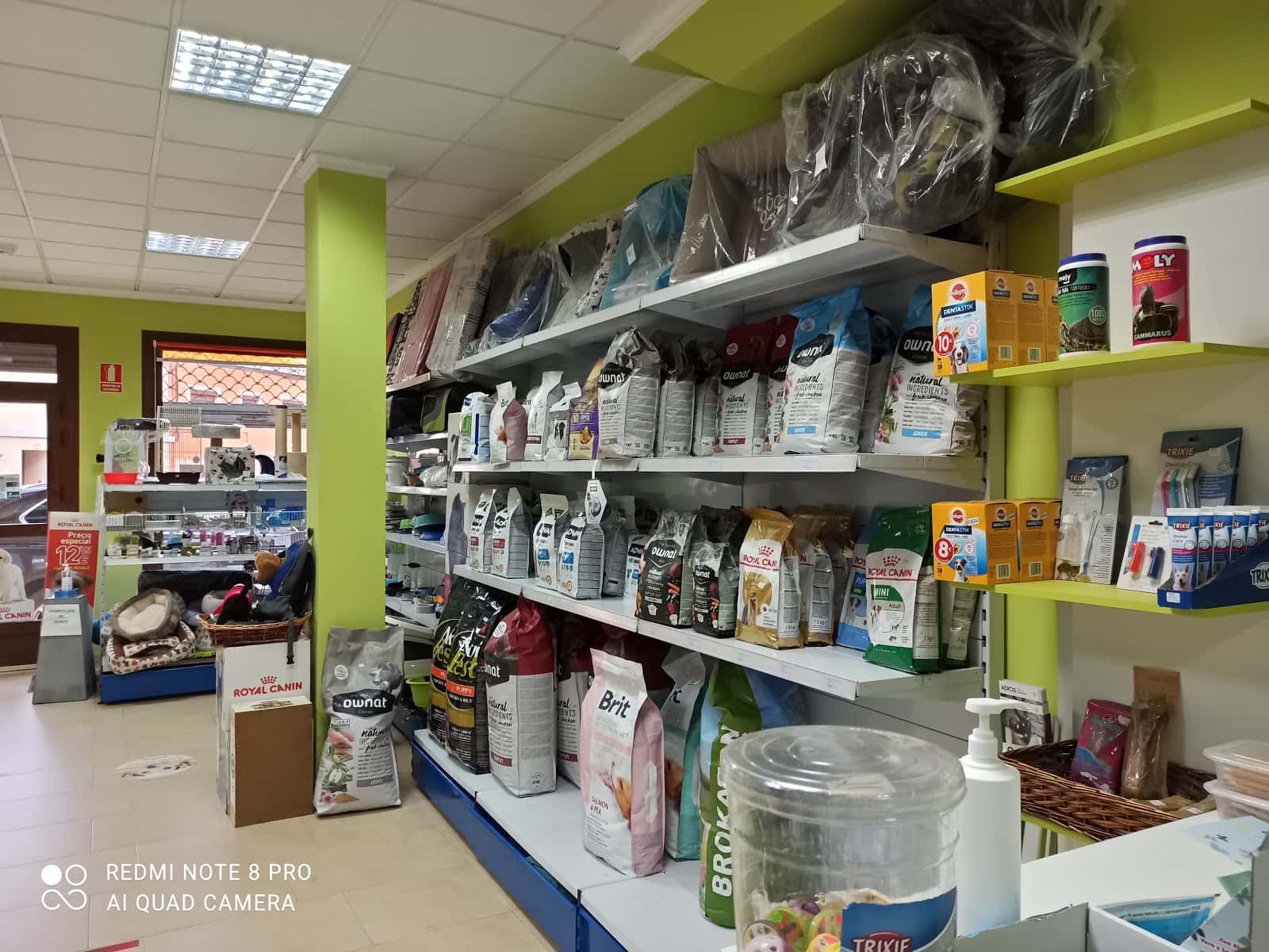 consulta veterinaria veterinario centro en motilla del palancar en cuenca principalImage ADOPTA Sitios Pet Friendly