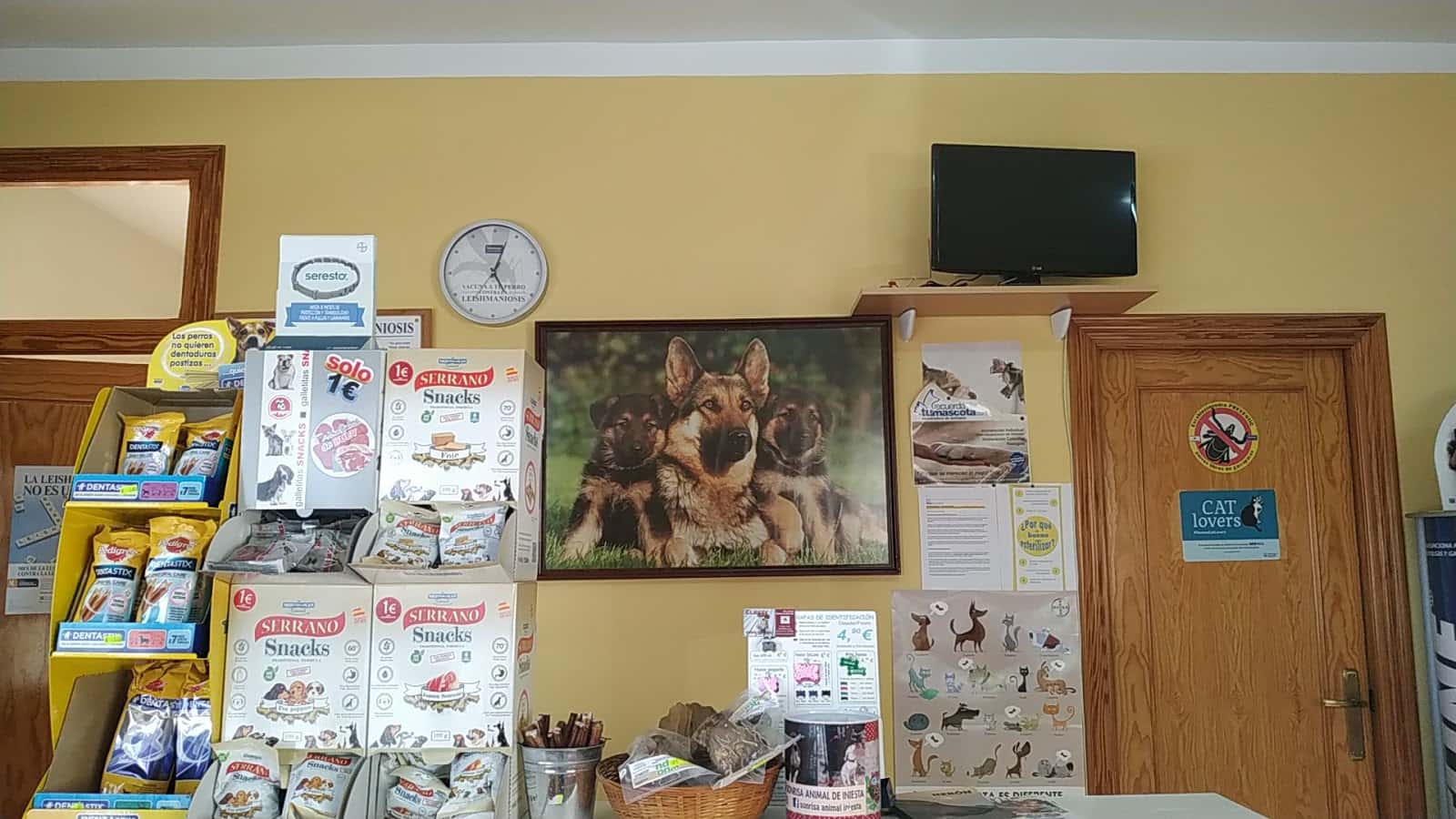 Consulta Veterinaria 'Elbety'