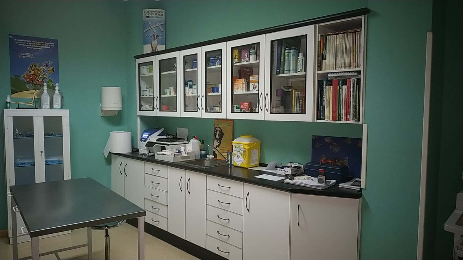 consulta veterinaria  elbety  veterinario centro en iniesta en cuenca principalImage ADOPTA Sitios Pet Friendly
