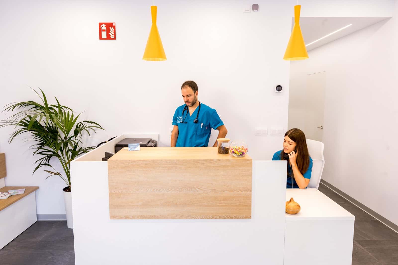 Turia veterinaria