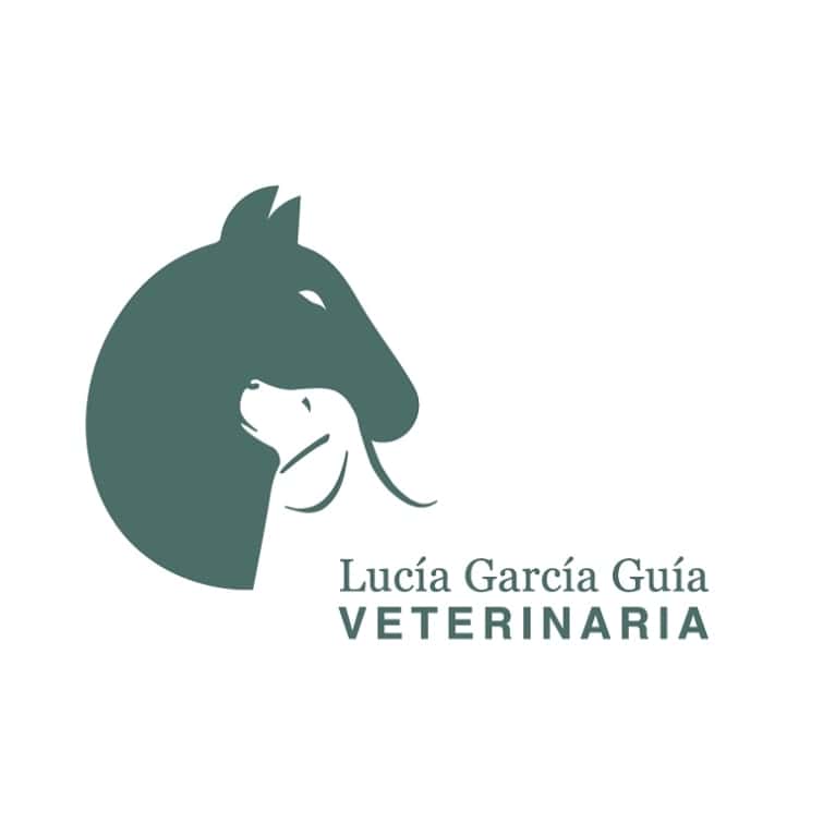 CENTRO VETERINARIO SARRIÓN