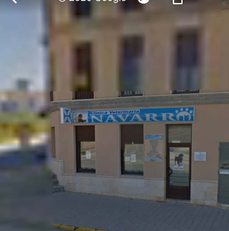 CLINICA VETERINARIA NAVARRO
