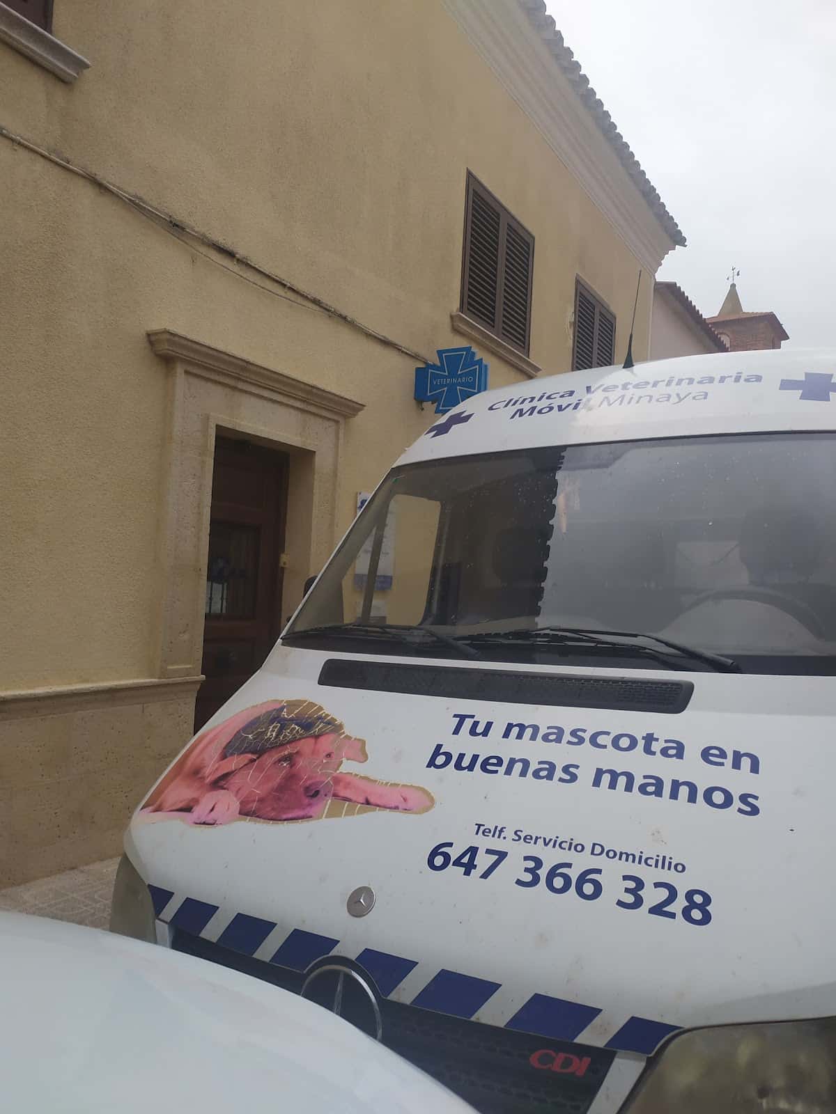 centro veterinario veterinario centro en san clemente en cuenca principalImage ADOPTA Sitios Pet Friendly