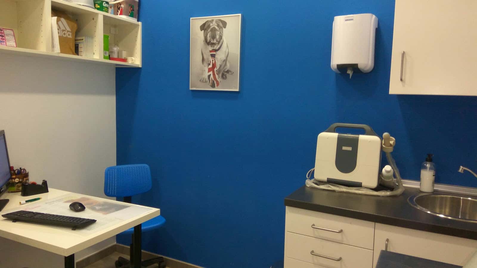 Centro Clínico Veterinario Animalicos