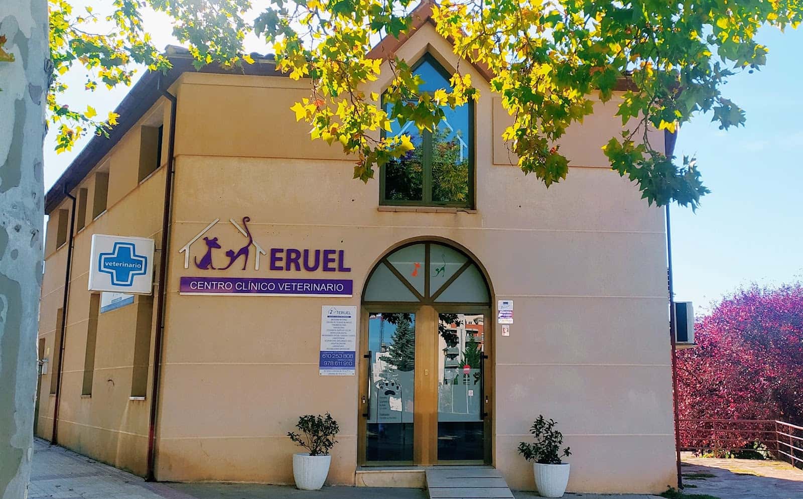 Centro Clínico Veterinario Teruel