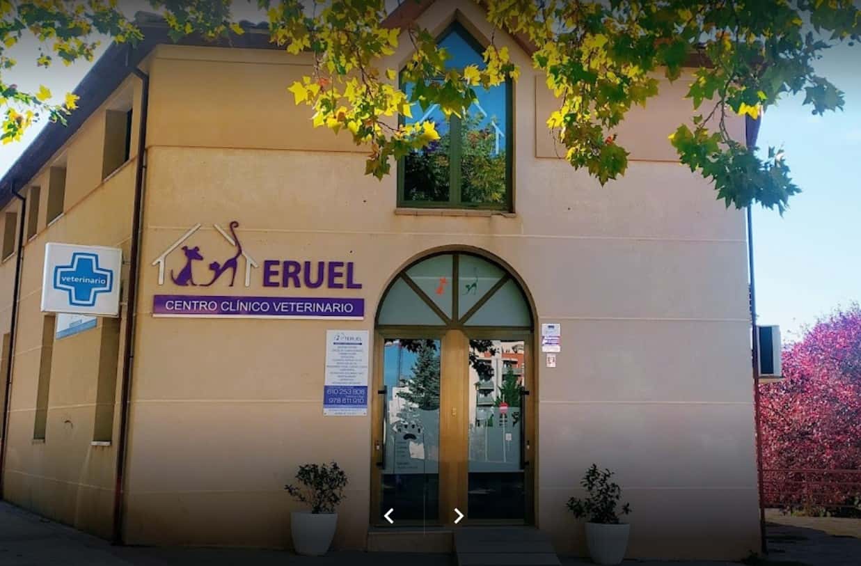 centro clinico veterinario teruel veterinario clinica barrio teruel en teruel en teruel principalImage ADOPTA Sitios Pet Friendly