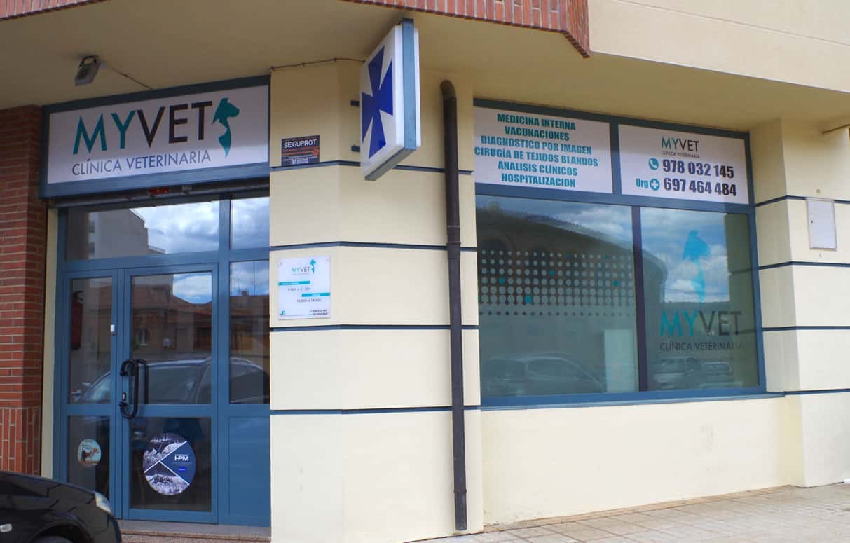 clinica veterinaria myvet veterinario clinica barrio teruel en teruel en teruel principalImage ADOPTA Sitios Pet Friendly