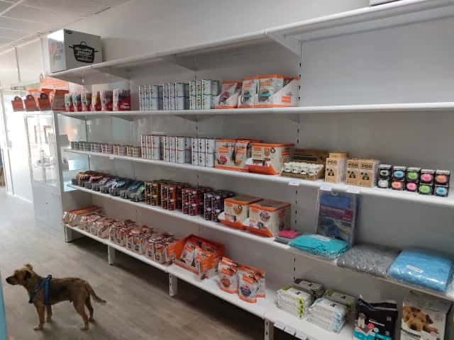 Clínica Veterinaria KMAKUS