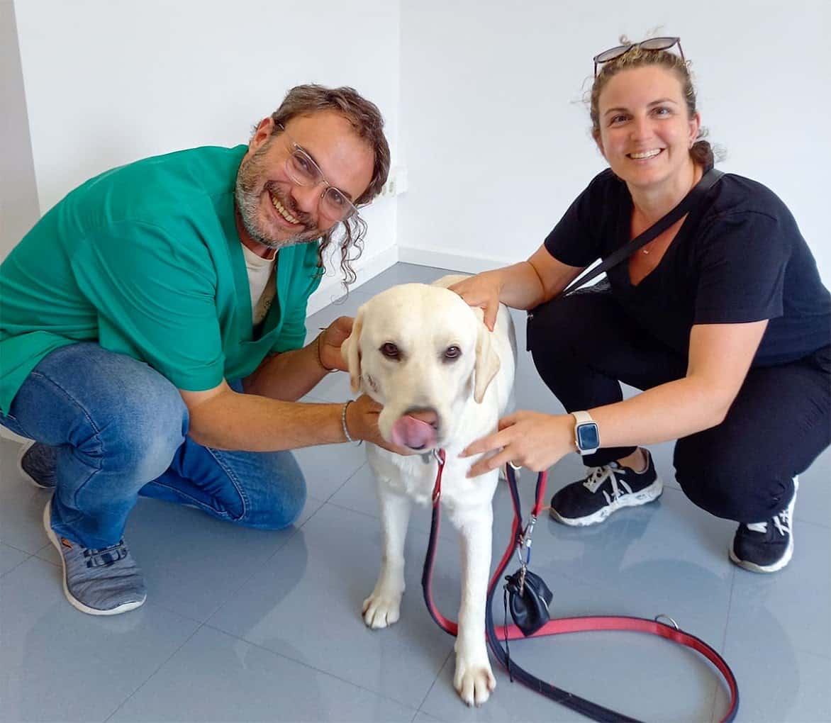 palafruvet · centre veterinari a palafrugell veterinario centro en palafrugell en girona photo undefined ADOPTA Sitios Pet Friendly