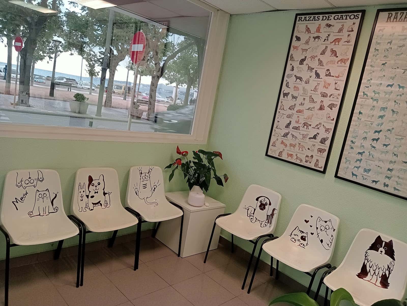 Centre Veterinari DogCat