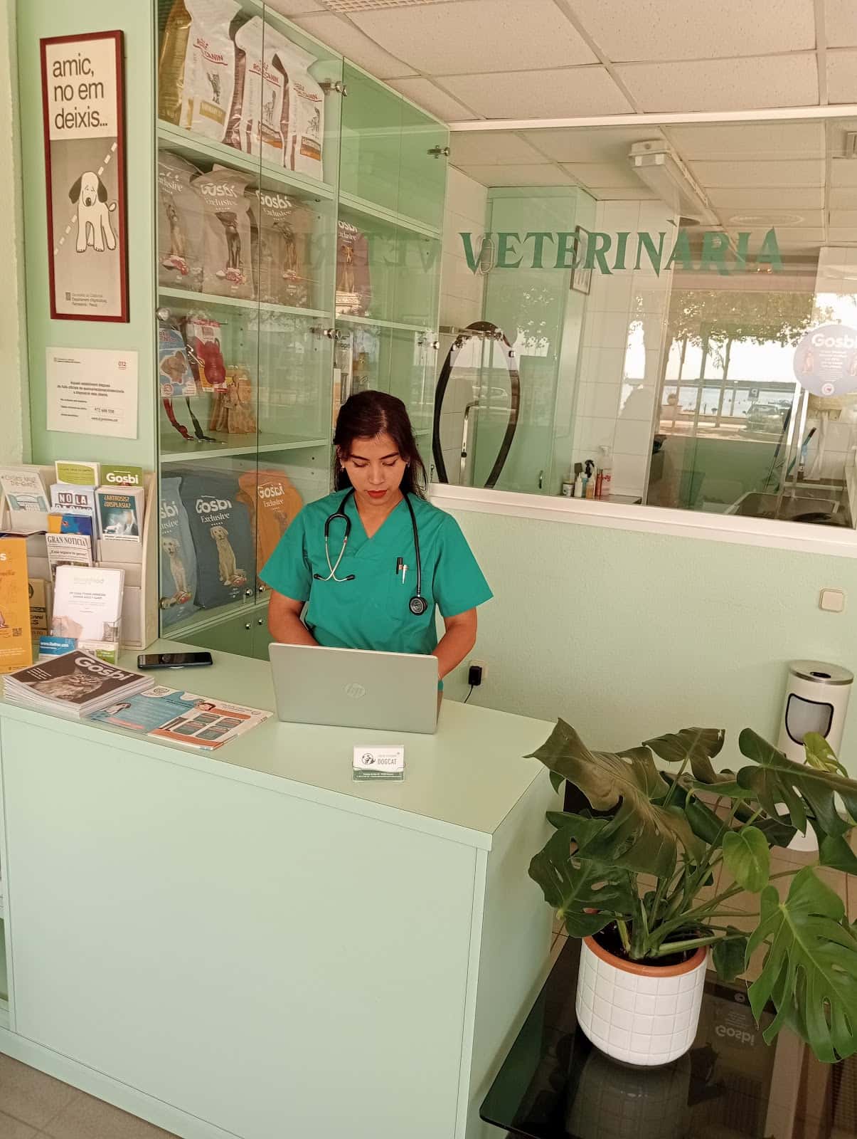 centre veterinari dogcat veterinario centro en palamos en girona photo undefined ADOPTA Sitios Pet Friendly