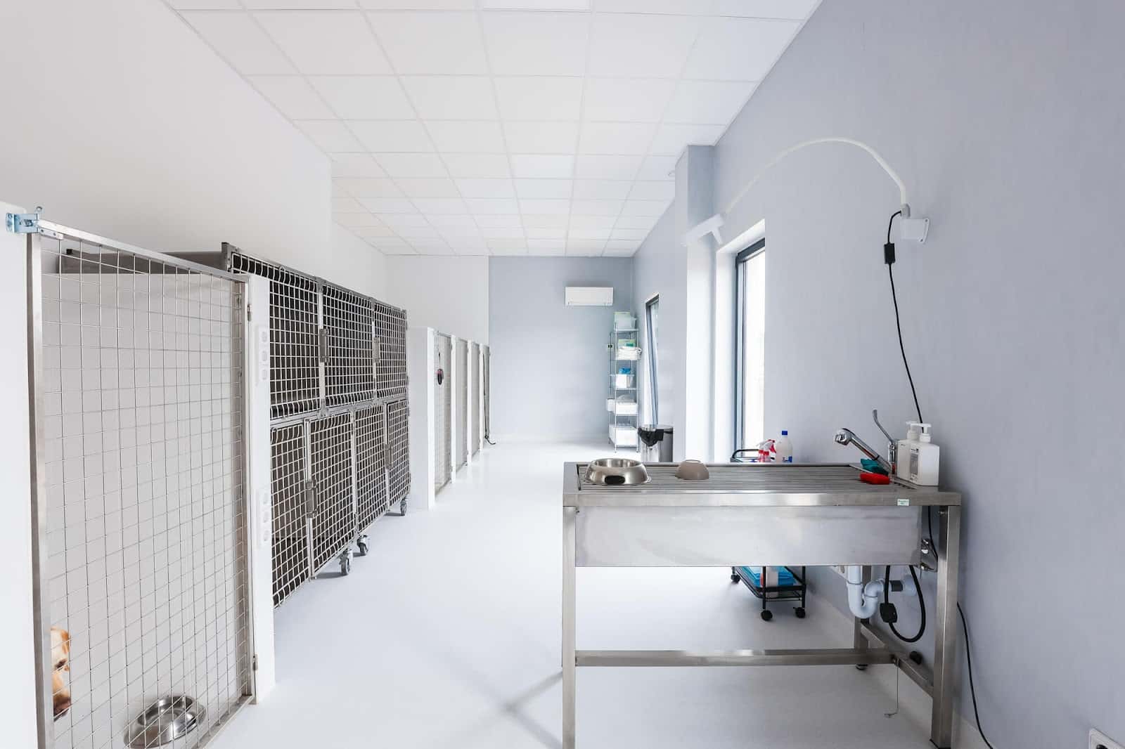 Hospital Veterinario Costa Brava