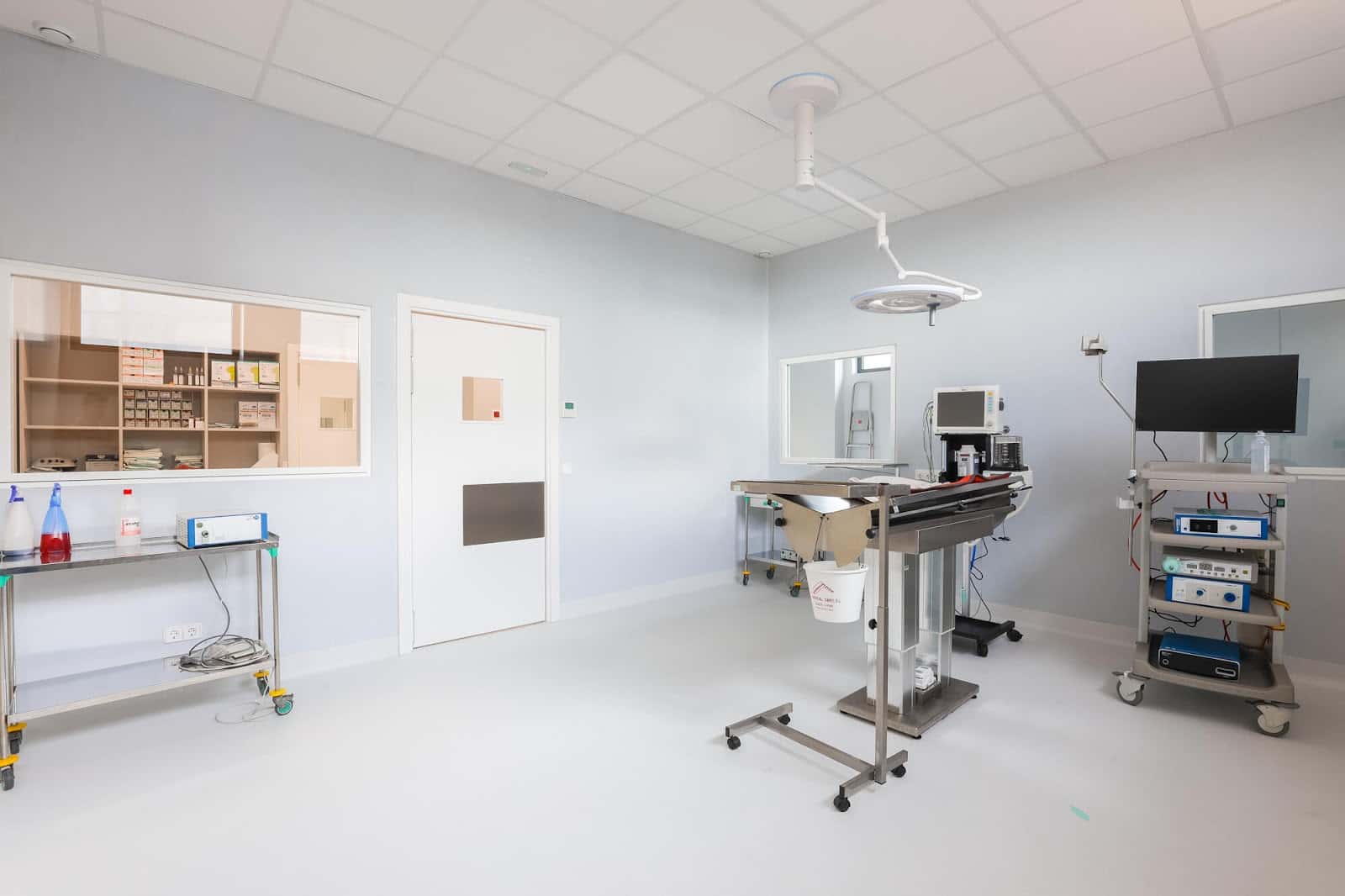 hospital veterinario costa brava veterinario hospital en palafrugell en girona principalImage ADOPTA Sitios Pet Friendly