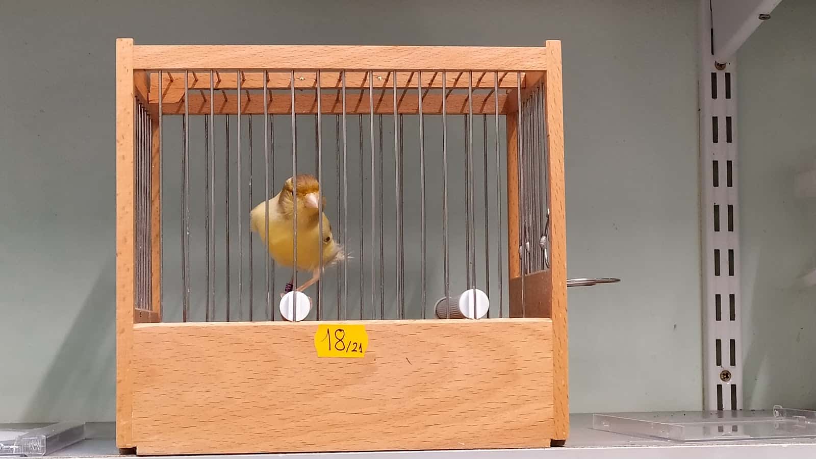 Clínica Veterinària Mendieta