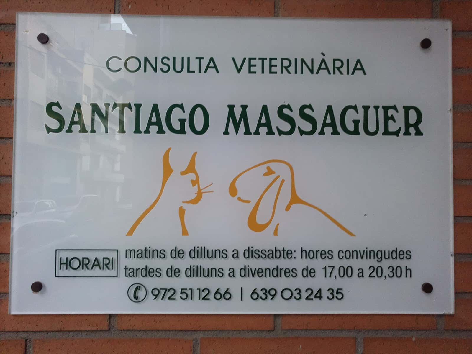 Consulta Veterinària S.Massaguer
